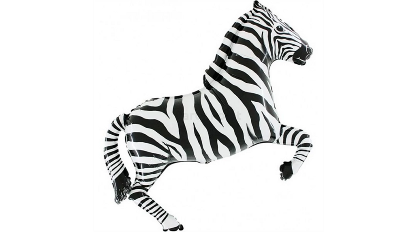 Zebra