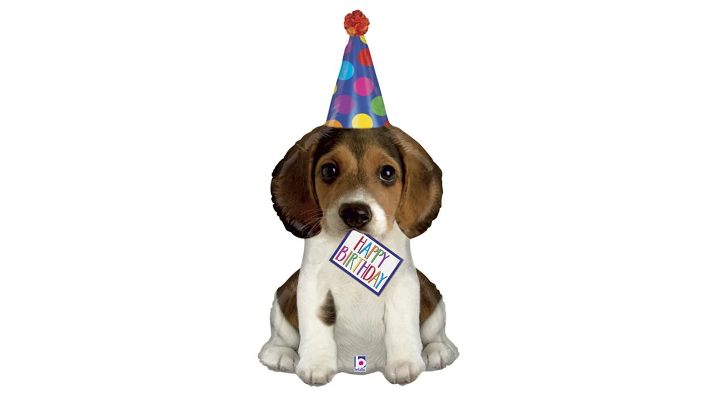 100 cm-es Party Kutya