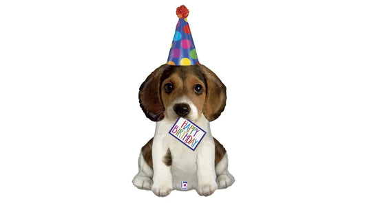 100 cm-es Party Kutya