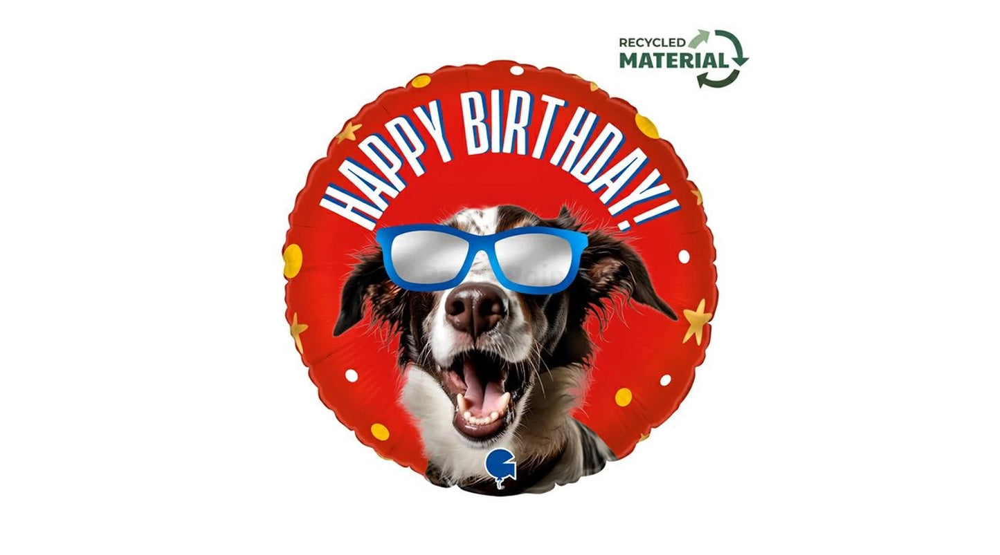 45 cm-es kutyus napszemcsiben Happy Birthday fólia lufi